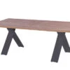 HARTMAN Xanadu Esstisch, Xerix, Alu / Teakholz, 220 X 100 Cm, X-Gestell -Dopple Geschaft 1 20405.jpg