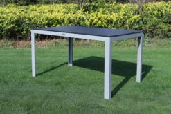 VILLANA Esstischgarnitur, Silber/schwarz, Alu/Holzimitat/Textil, Tisch 150x90cm, 6 Multipositionssessel -Dopple Geschaft 22560 04.jpg