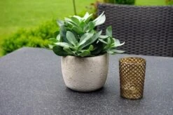 Ploß Rocking Dining Tisch, Grau/braun-meliert, Polyrattan, 90 X 90 Cm, Glasplatte In Steinoptik 15 Ploß Rocking Dining Tisch, Grau/braun-meliert, Polyrattan, 90 X 90 Cm, Glasplatte In Steinoptik -Dopple Geschaft 4 20156.jpg