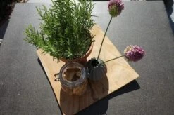 Ploß Rabida Dining Tisch, Champagner-meliert, Polyrattan, 90 X 90 Cm, Glasplatte In Steinoptik -Dopple Geschaft 4 20166.jpg