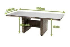 Ploß Rabida Dining Tisch, Champagner-meliert, Polyrattan, 220 X 100 Cm, Glasplatte In Steinoptik -Dopple Geschaft 5 20161.jpg